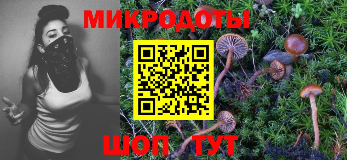 Псилоцибиновые грибы Cubensis  Вход с VPN  Ачинск 